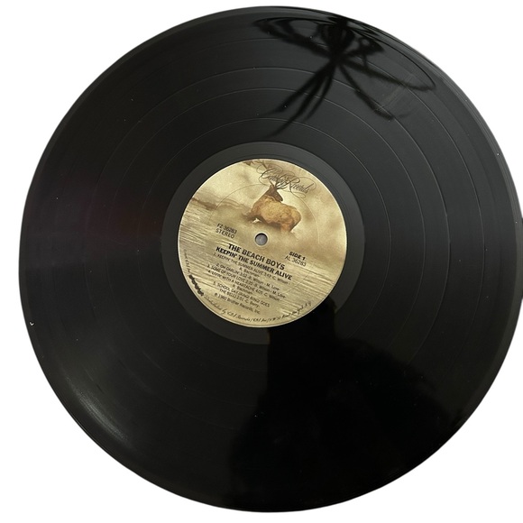 The Beach Boys Vinyl Record Bundle - Picture 9 of 16
